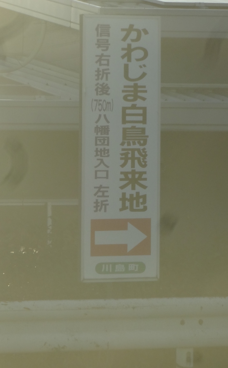 f:id:dajyaresensei:20191117225052j:plain
