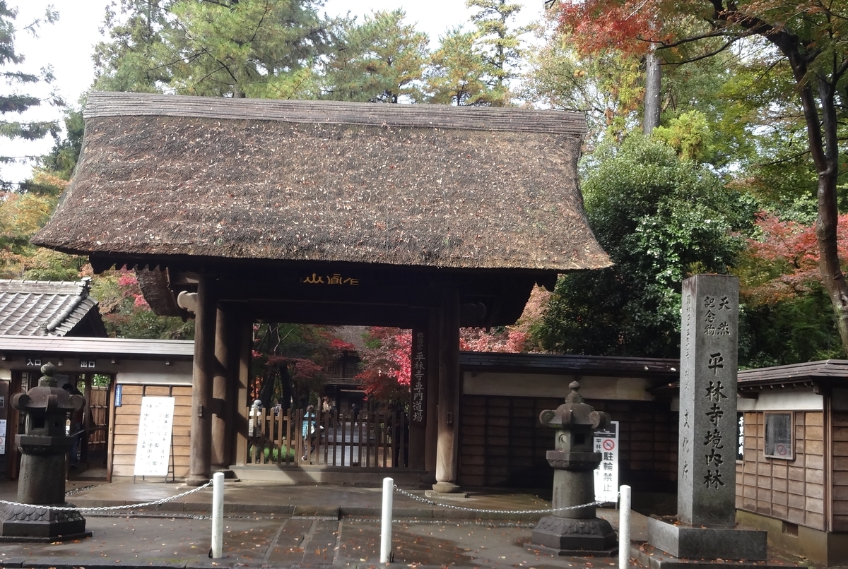 f:id:dajyaresensei:20191124172841j:plain