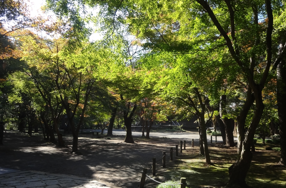 f:id:dajyaresensei:20191124174620j:plain