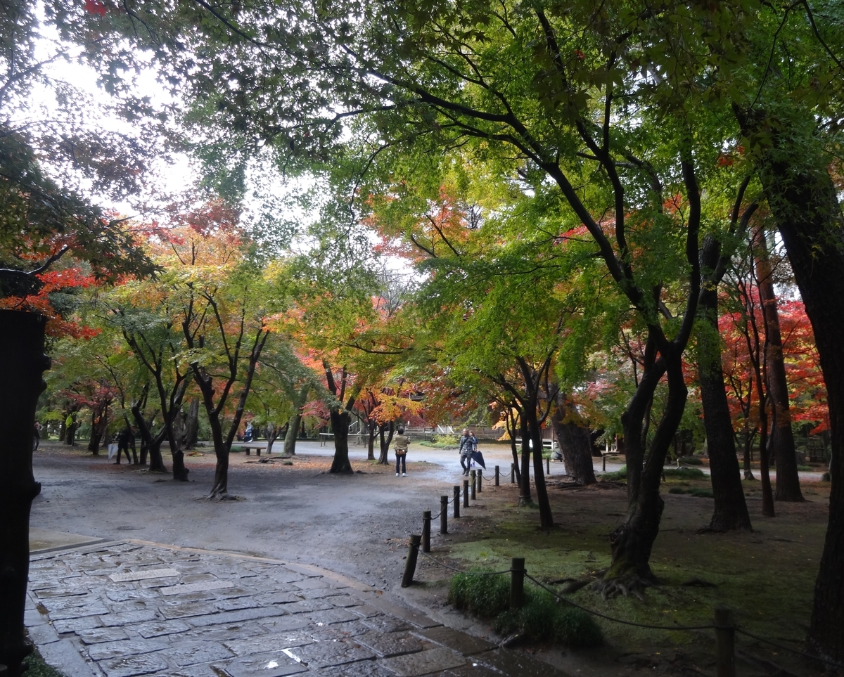 f:id:dajyaresensei:20191124174941j:plain