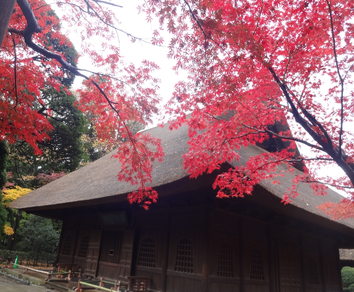 f:id:dajyaresensei:20191124175708j:plain