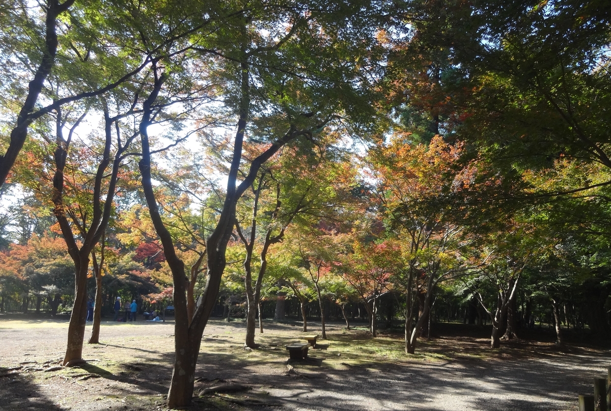 f:id:dajyaresensei:20191124191426j:plain