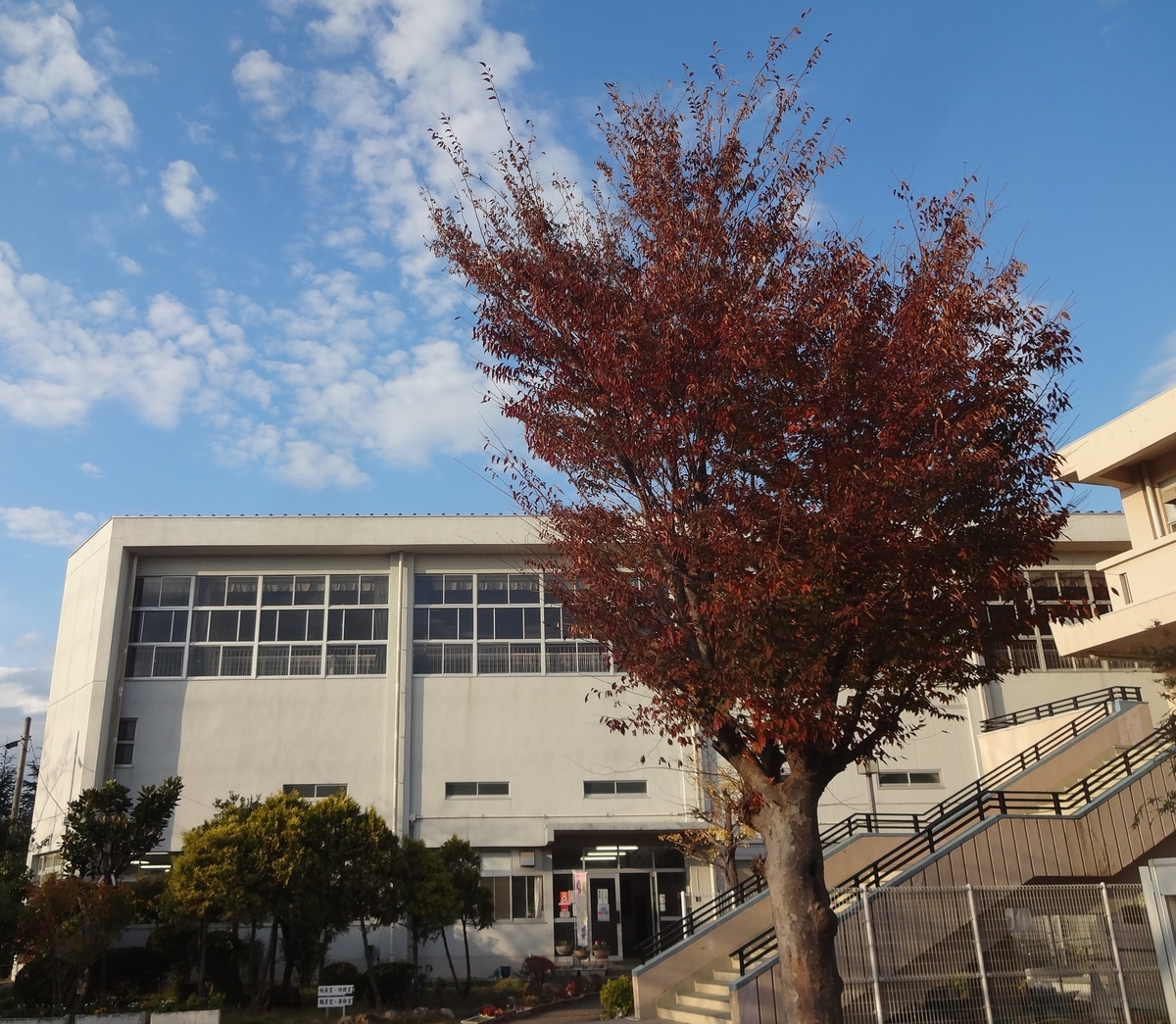 f:id:dajyaresensei:20191206222048j:plain f:id:dajyaresensei:20191206222048j:plain