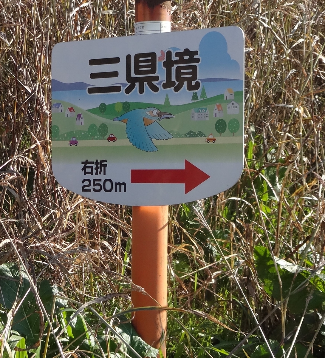 f:id:dajyaresensei:20191208224951j:plain