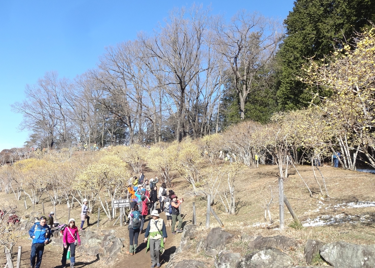 f:id:dajyaresensei:20200122223338j:plain f:id:dajyaresensei:20200122223338j:plain