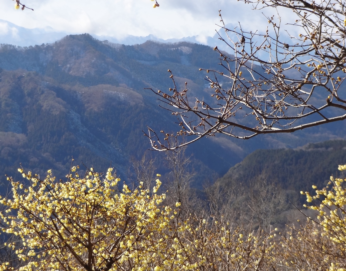 f:id:dajyaresensei:20200122223545j:plain f:id:dajyaresensei:20200122223545j:plain