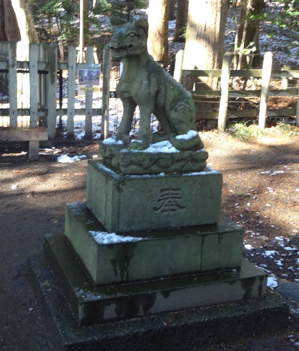 f:id:dajyaresensei:20200122224516j:plain f:id:dajyaresensei:20200122224516j:plain