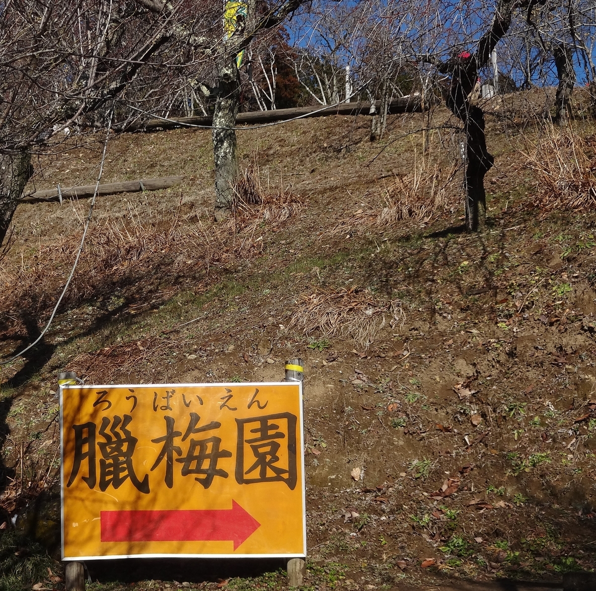 f:id:dajyaresensei:20200122225330j:plain f:id:dajyaresensei:20200122225330j:plain