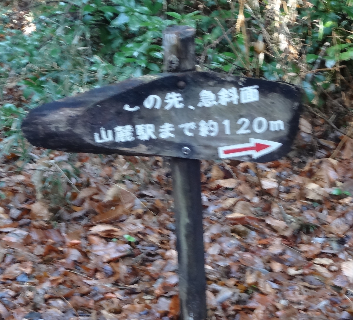 f:id:dajyaresensei:20200122230136j:plain f:id:dajyaresensei:20200122230136j:plain