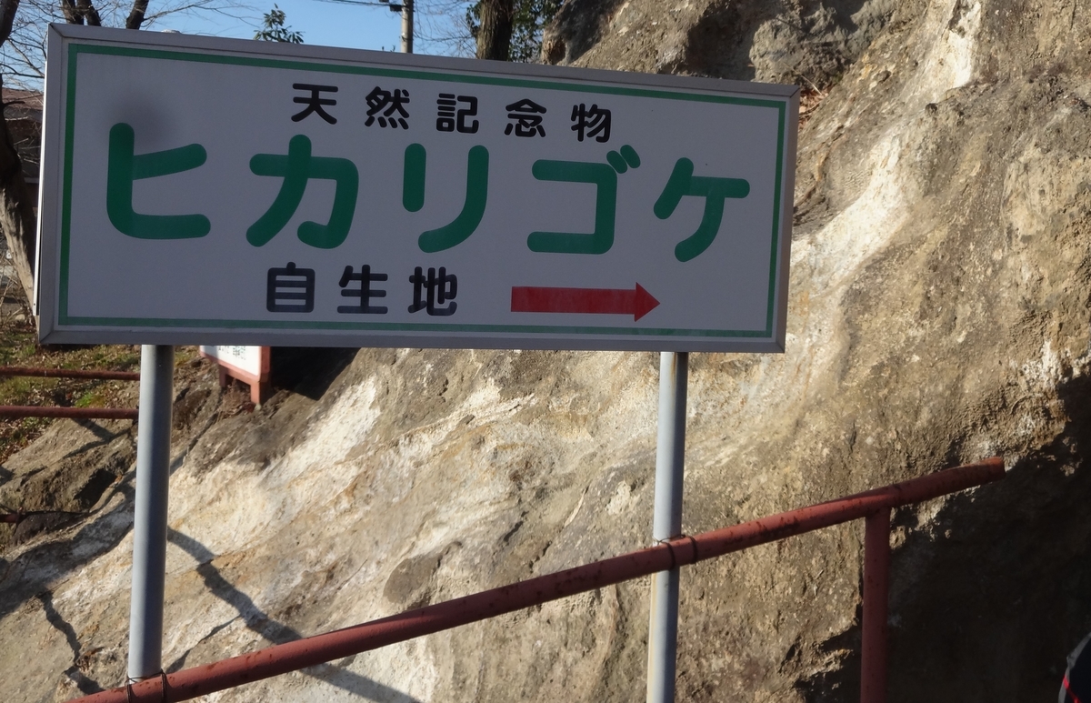 f:id:dajyaresensei:20200209182908j:plain