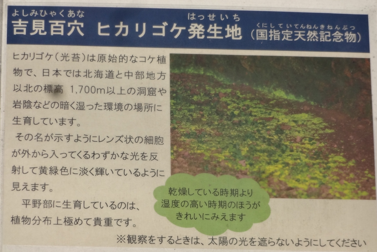 f:id:dajyaresensei:20200209183200j:plain