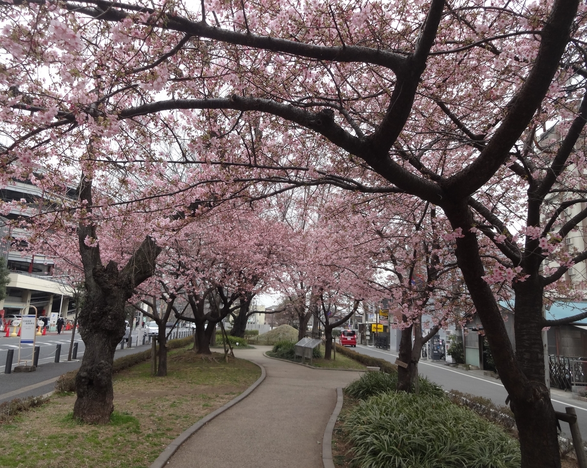 f:id:dajyaresensei:20200225195942j:plain
