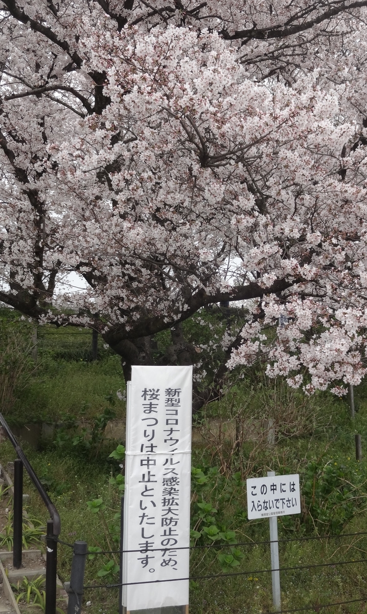 f:id:dajyaresensei:20200330102151j:plain