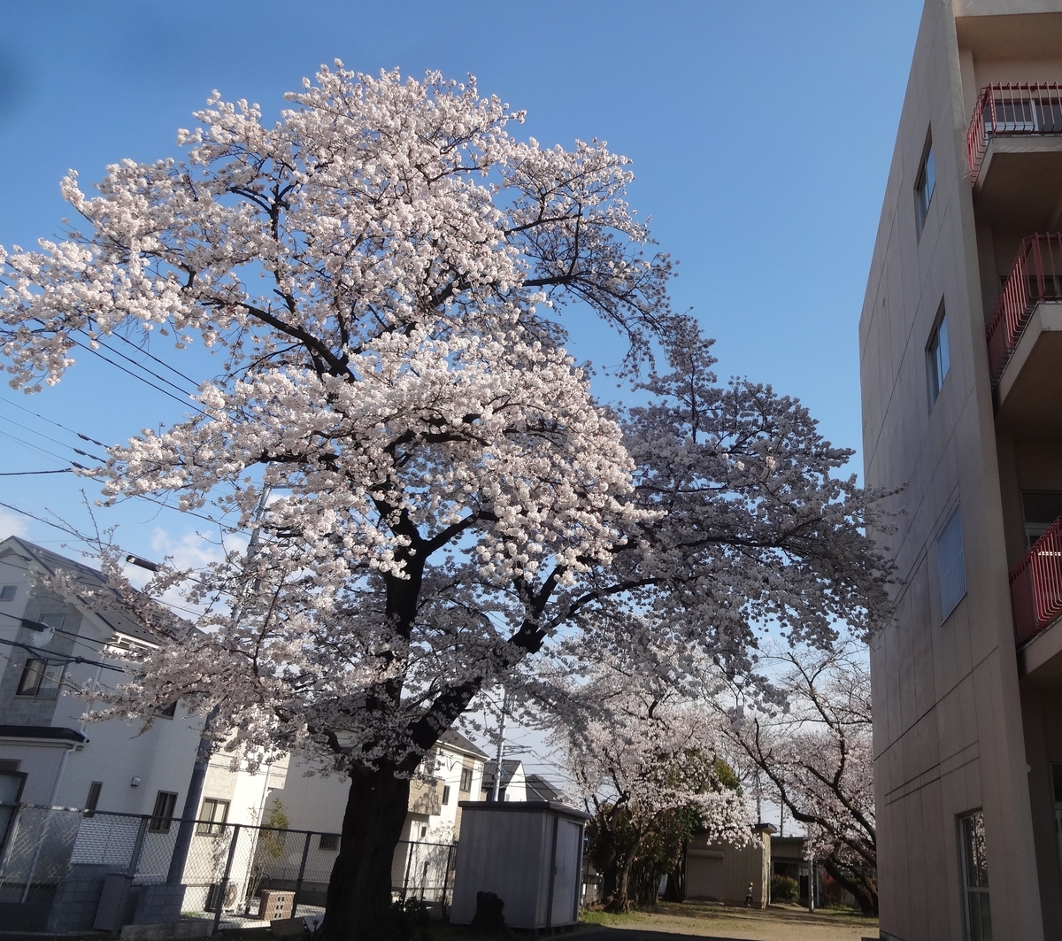 f:id:dajyaresensei:20200331224425j:plain