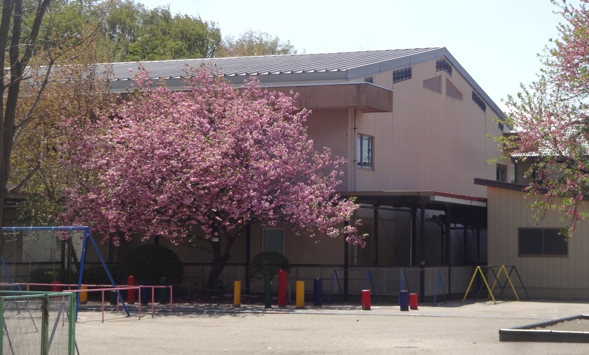 f:id:dajyaresensei:20200509220352j:plain f:id:dajyaresensei:20200509220352j:plain