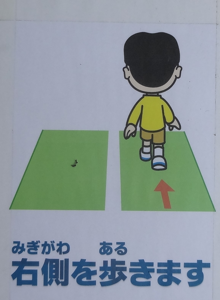 f:id:dajyaresensei:20200606120942j:plain