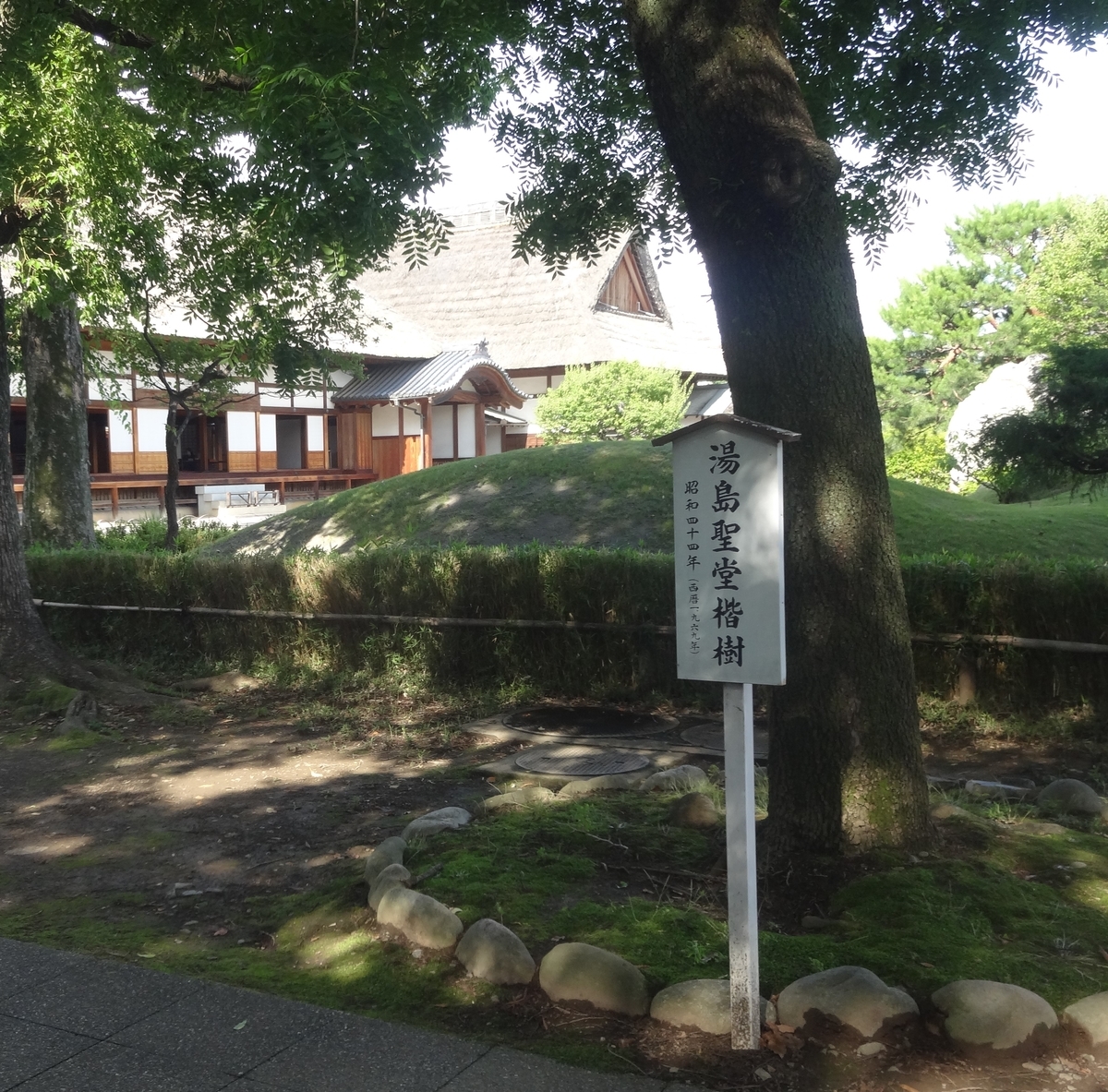 f:id:dajyaresensei:20200629111949j:plain