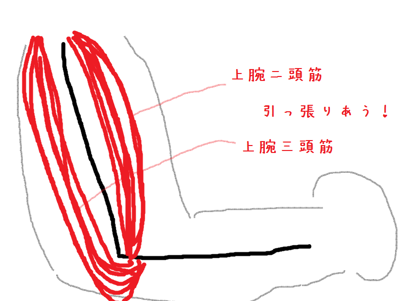 f:id:dakkonn:20190711175000p:plain