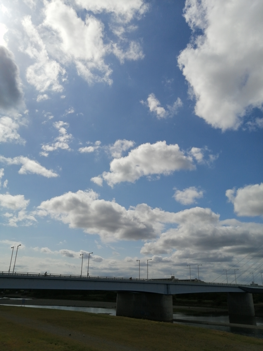 f:id:dakkonokai:20200525133551j:plain