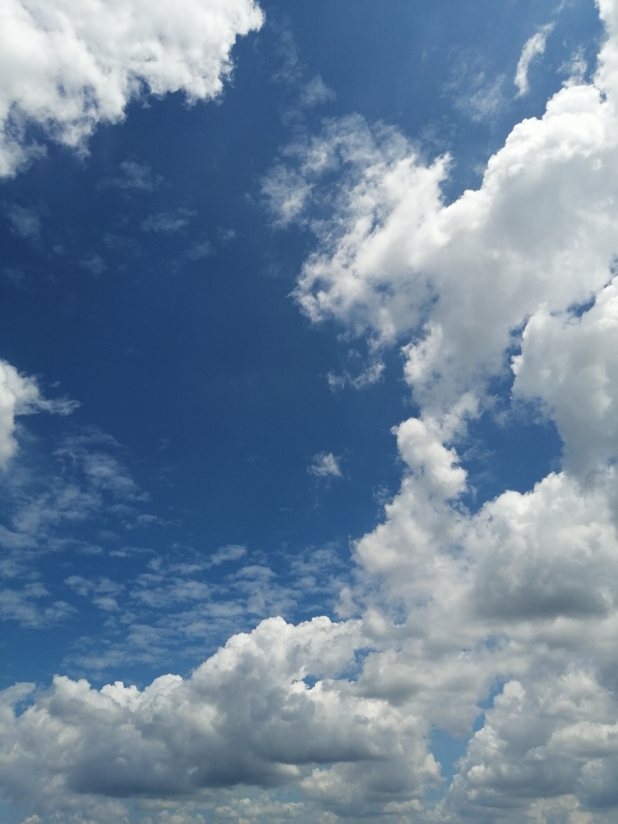 f:id:dakkonokai:20200805101530j:plain