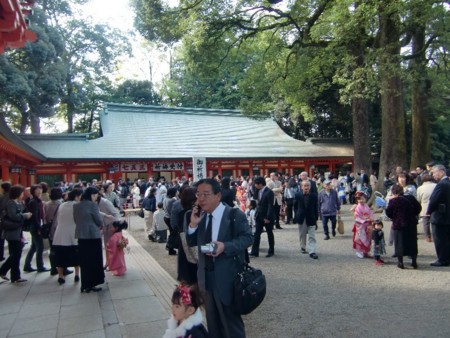 七五三 お宮参り 大宮 氷川神社 ロバのコラム