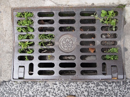 f:id:damd1957:20150630175255j:plain