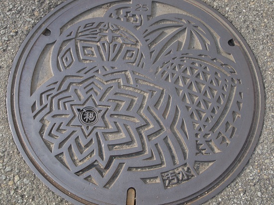 f:id:damd1957:20160212121253j:plain