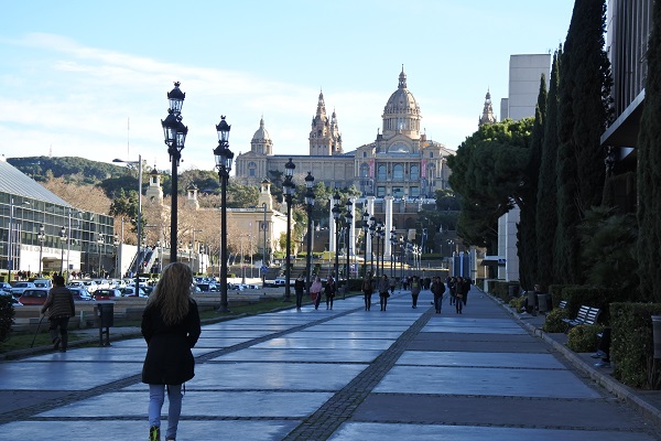 f:id:damd1957:20170318162314j:plain f:id:damd1957:20170318162314j:plain