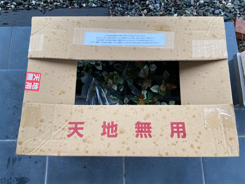 中が見える梱包で届いた 幸せ 娘のイラスト 明日もまた食べて笑って 中が見える梱包で届いた 幸せ 娘のイラスト 明日もまた食べて笑って