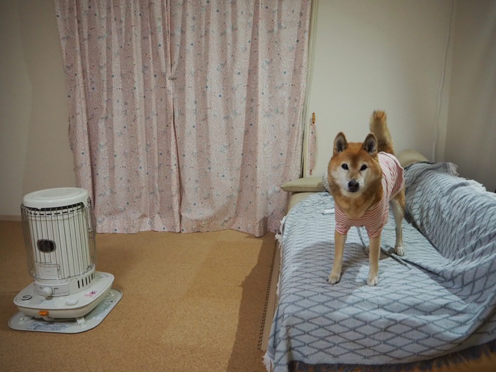 f:id:damd1957:20201126083323j:image