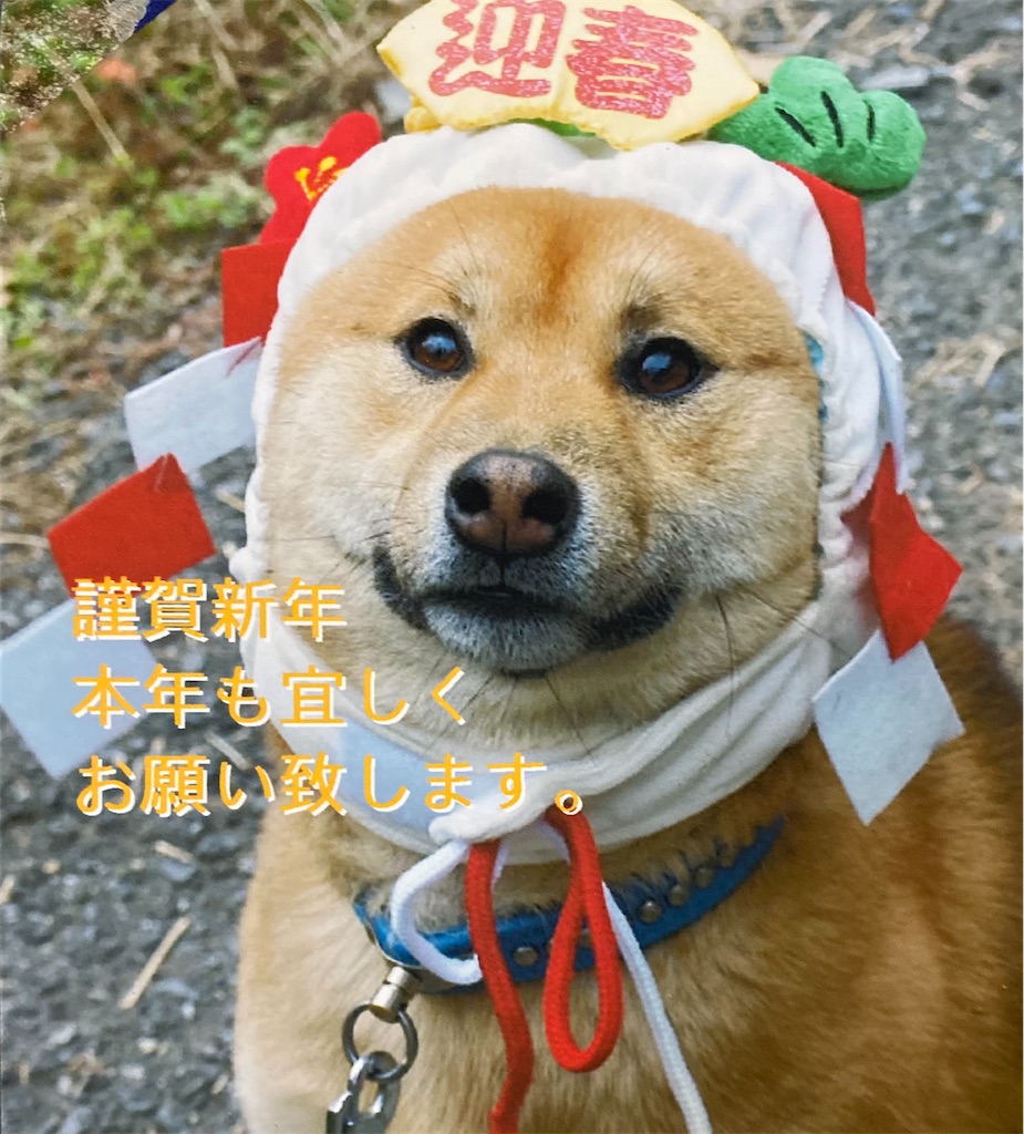 f:id:damd1957:20210309102357j:image