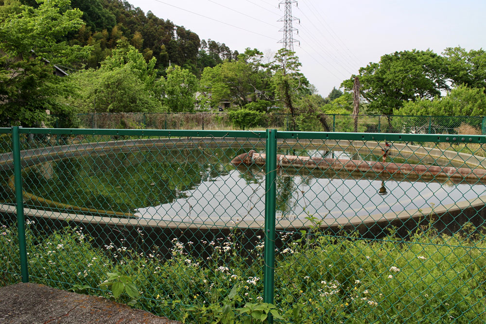 f:id:damdom:20171220235506j:plain