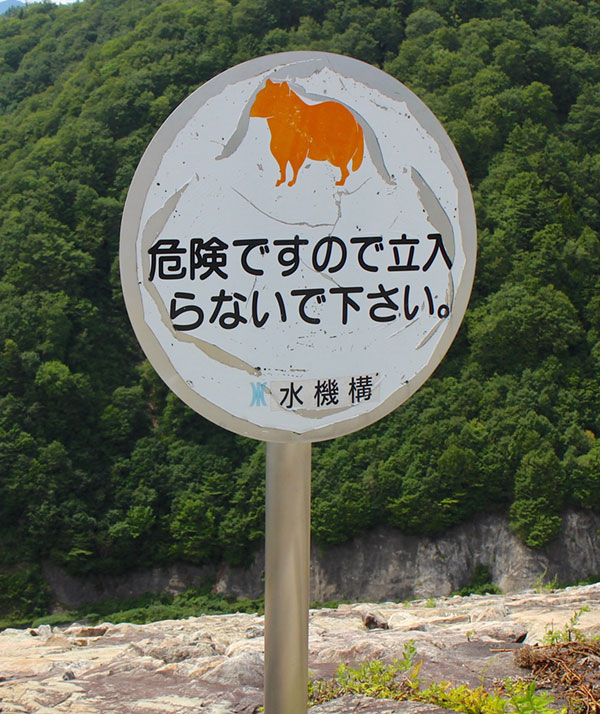 f:id:damdom:20171221232128j:plain