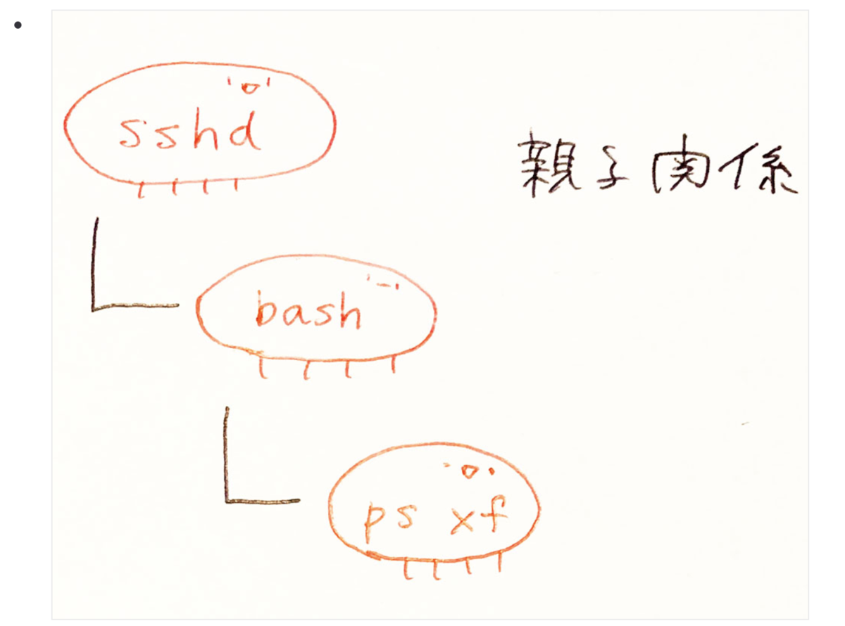 日報に書いたイラストたち Fjordbootcamp ハンドルネームの由来は乳製品好きから