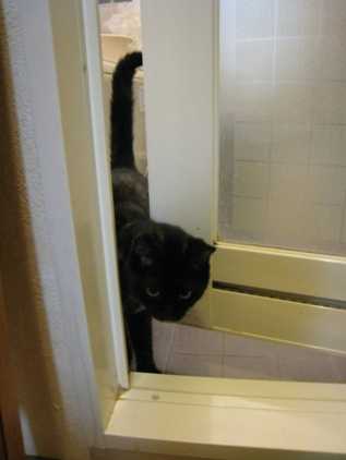 f:id:damechan65:20101212071621j:image f:id:damechan65:20101212071621j:image