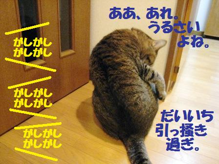 f:id:damechan65:20110530220712j:image f:id:damechan65:20110530220712j:image