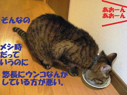 f:id:damechan65:20110530220715j:image f:id:damechan65:20110530220715j:image