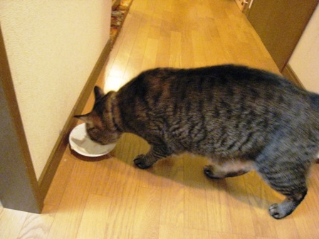 f:id:damechan65:20110530220717j:image f:id:damechan65:20110530220717j:image