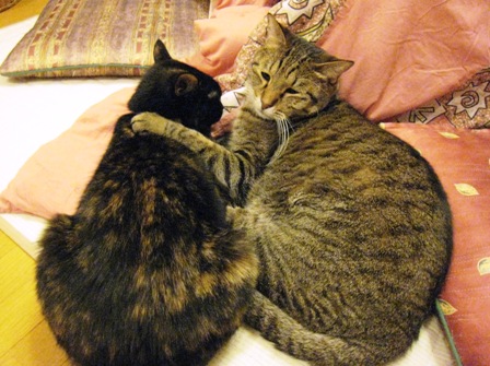 f:id:damechan65:20110531220800j:image