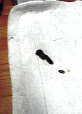 f:id:damechan65:20110731005249j:image