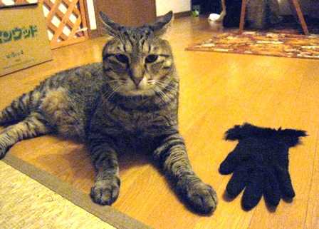 f:id:damechan65:20110802170844j:image