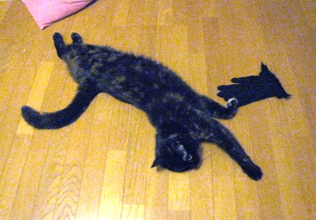 f:id:damechan65:20110802170845j:image