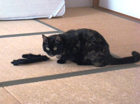 f:id:damechan65:20110802170847j:image