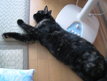 f:id:damechan65:20110821231919j:image