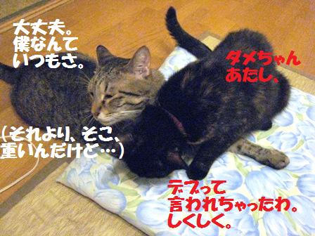 f:id:damechan65:20110907225044j:image