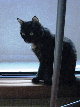 f:id:damechan65:20110907225045j:image