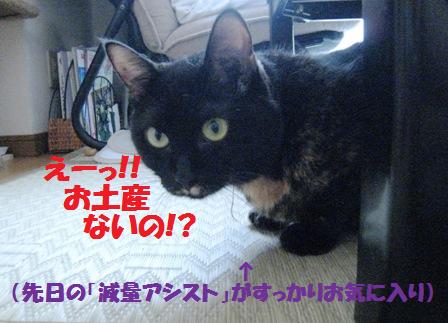 f:id:damechan65:20111010103242j:image