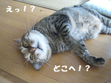 f:id:damechan65:20111010103250j:image