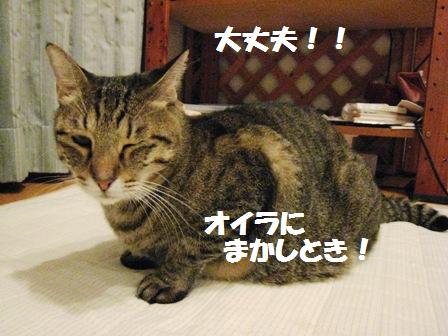 f:id:damechan65:20111010222231j:image