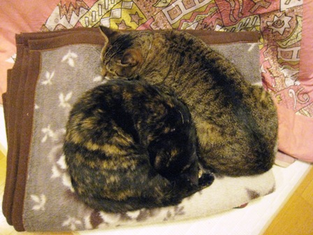 f:id:damechan65:20111230005605j:image